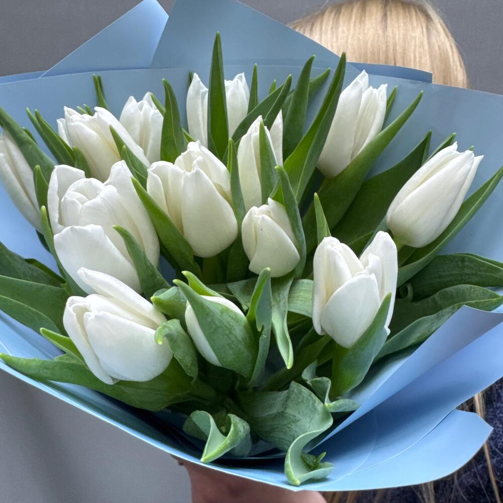 Букет из 15 белых тюльпанов в голубом оформлении