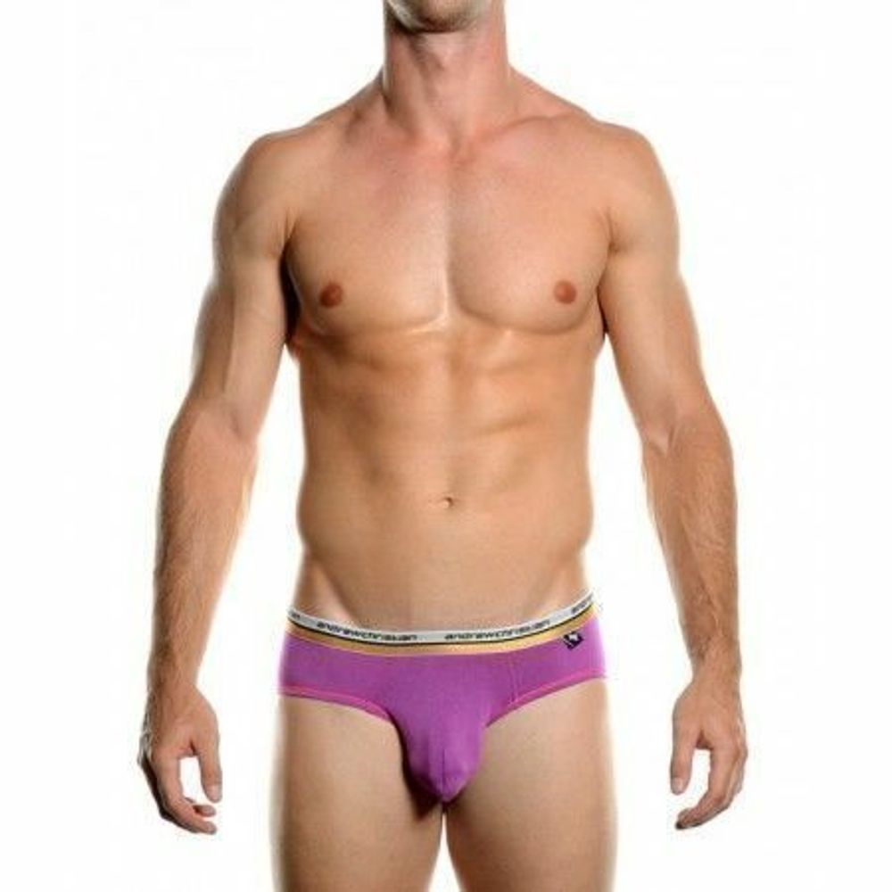 Мужские трусы брифы сиреневые Andrew Christian Vibe Brief Grape