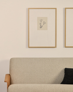 Картина Lirena с ботанической иллюстрацией 50 x 70 см