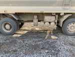 Howo T5G 8x4 Самосвал ZZ3317V386GE1 (Дизельный, 10,5 л, 440 л.с., МТ)
