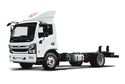 DONGFENG C80N