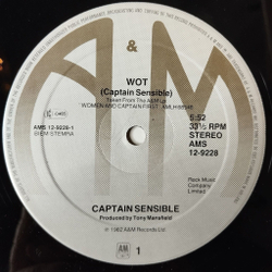 Винтажная виниловая пластинка LP Captain Sensible Wot (Holland 1982) Maxi Single