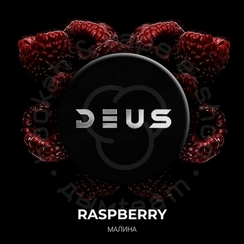 Табак для кальяна Deus Raspberry (Малина), 100 гр.