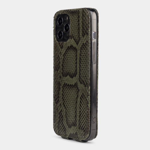 Чехол для iPhone 12 Pro Max из натуральной кожи питона, зеленого цвета
