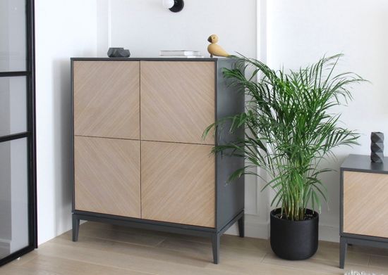 Шкаф Fjord 4 двери (темно-серый)