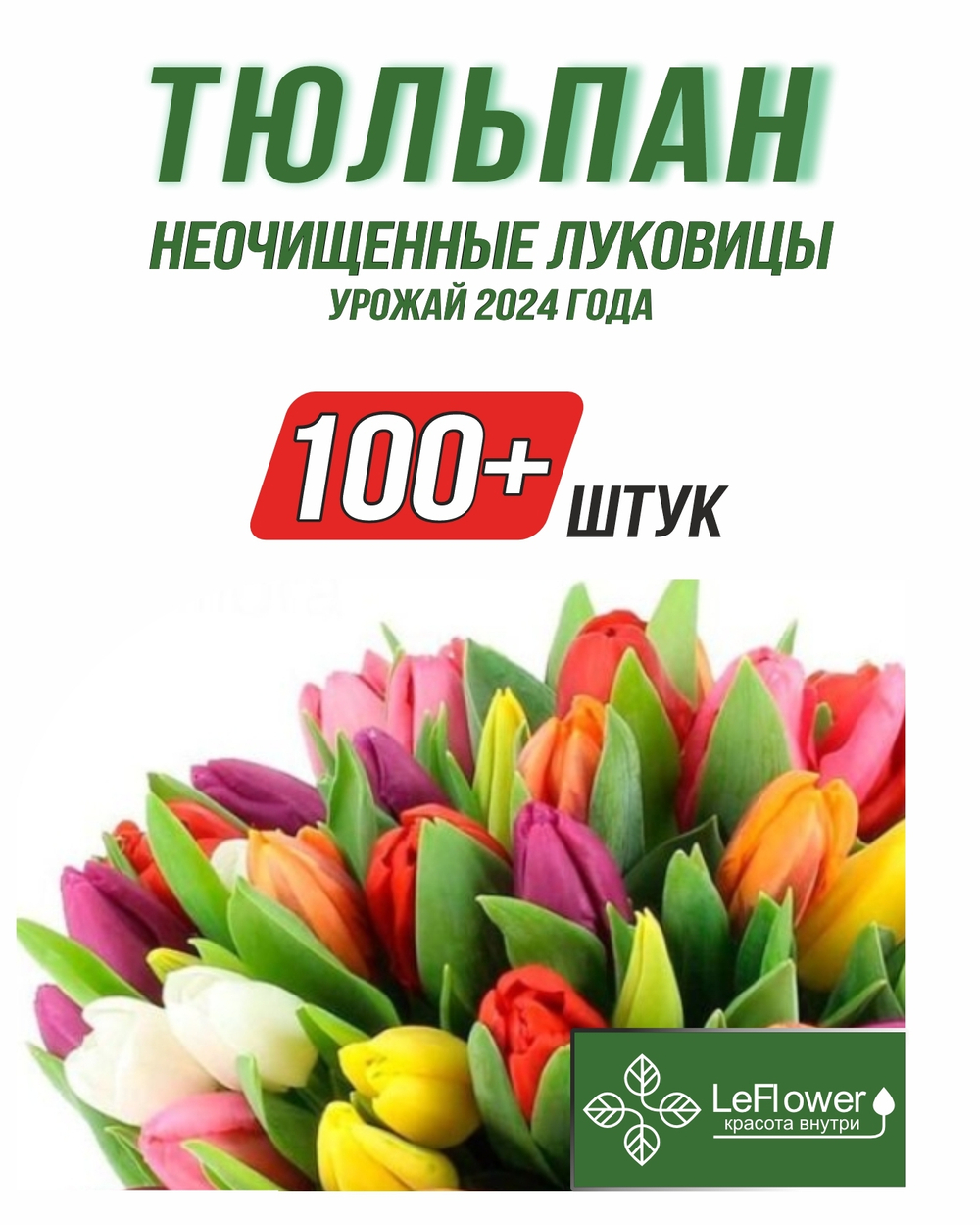Тюльпан Луковицы неочищенные, Микс сортов, 100шт+
