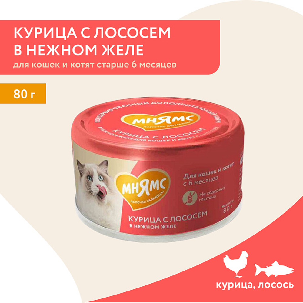 Влажный дополнительный корм для кошек и котят старше 6 месяцев Мнямс на каждый день курица с лососем в нежном желе 80 г 24 шт
