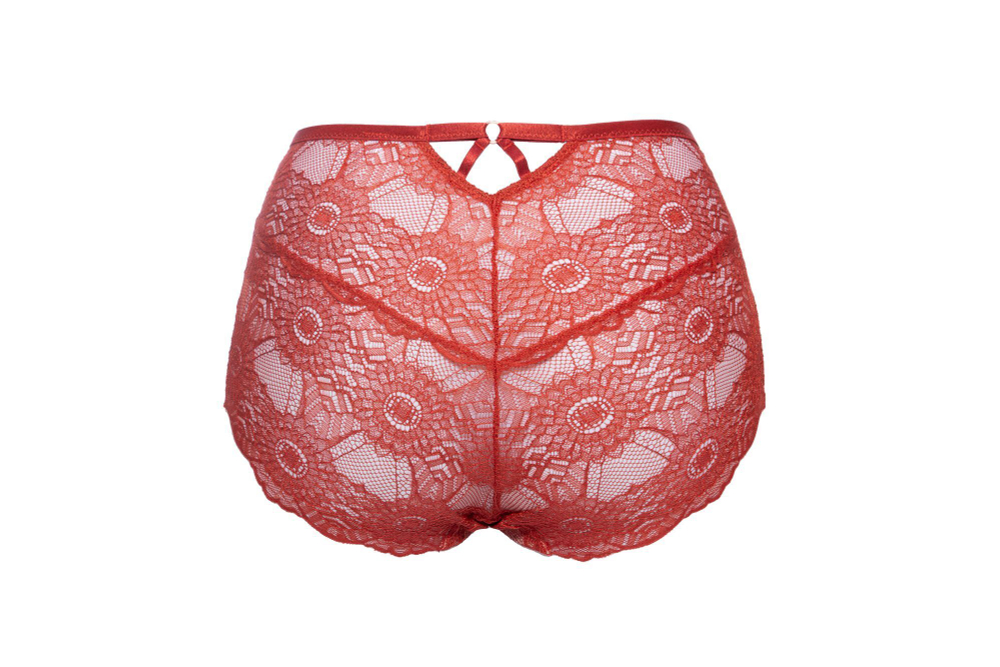 Трусики с завышенной талией Bohemian Vibe (Размер: 46) (Цвет: терракотовый)