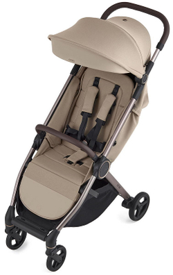 Детская коляска Anex iQ Premium NT 2 в 1 iQ-13-DNA seal