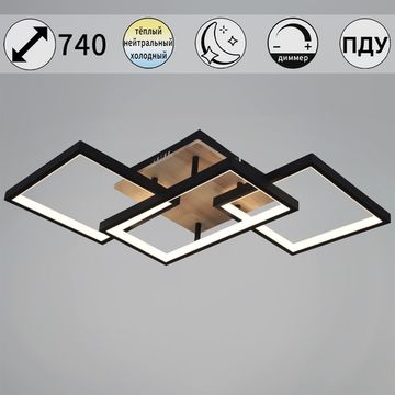 49560-0.3-03 BK+WOOD светильник потолочный