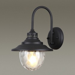 Уличный настенный светильник Odeon Light 4836/1W