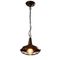 Подвесной светильник Arte Lamp Ferrico A9181SP-1BR