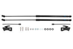 Упоры капота для CHANGAN CS35 Plus, 2018-, к-т 2 шт, ARBORI.HD.050101