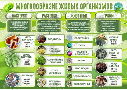 Стенд "Многообразие живых организмов"