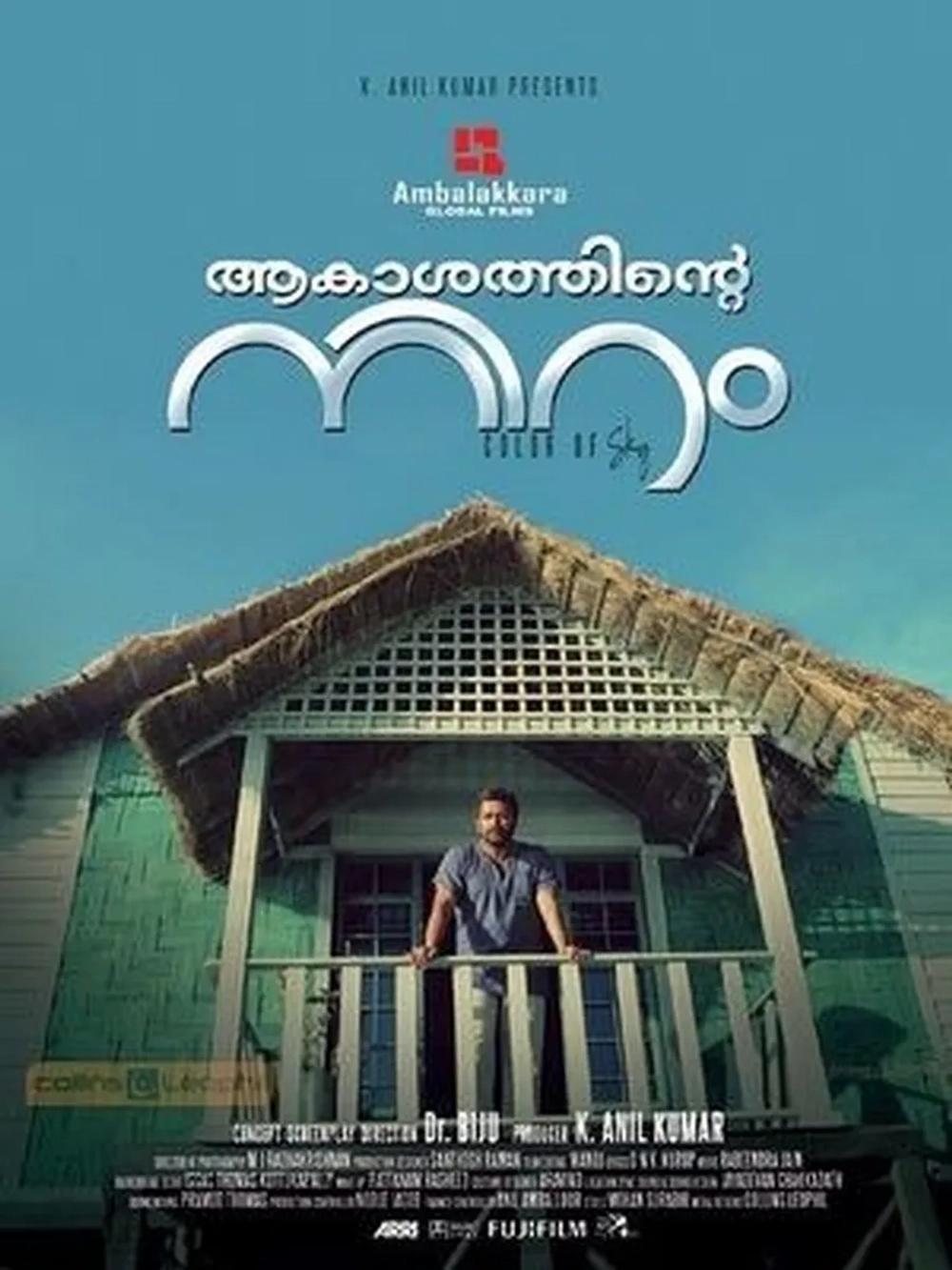 Цвет неба (2012) (DVD-R)