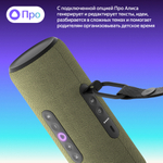 Портативная умная колонка Яндекс Станция Стрит - зеленая