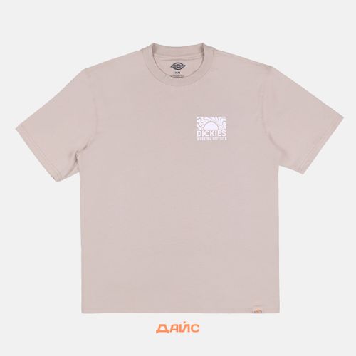 Футболка мужская Dickies Saltville Tee артикул:DK0A4YR9SS01 - купить в магазине Дайс