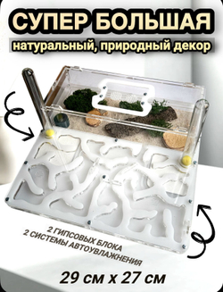 Супер большой Формикарий с муравьями в подарок  «XXXL Белый»
