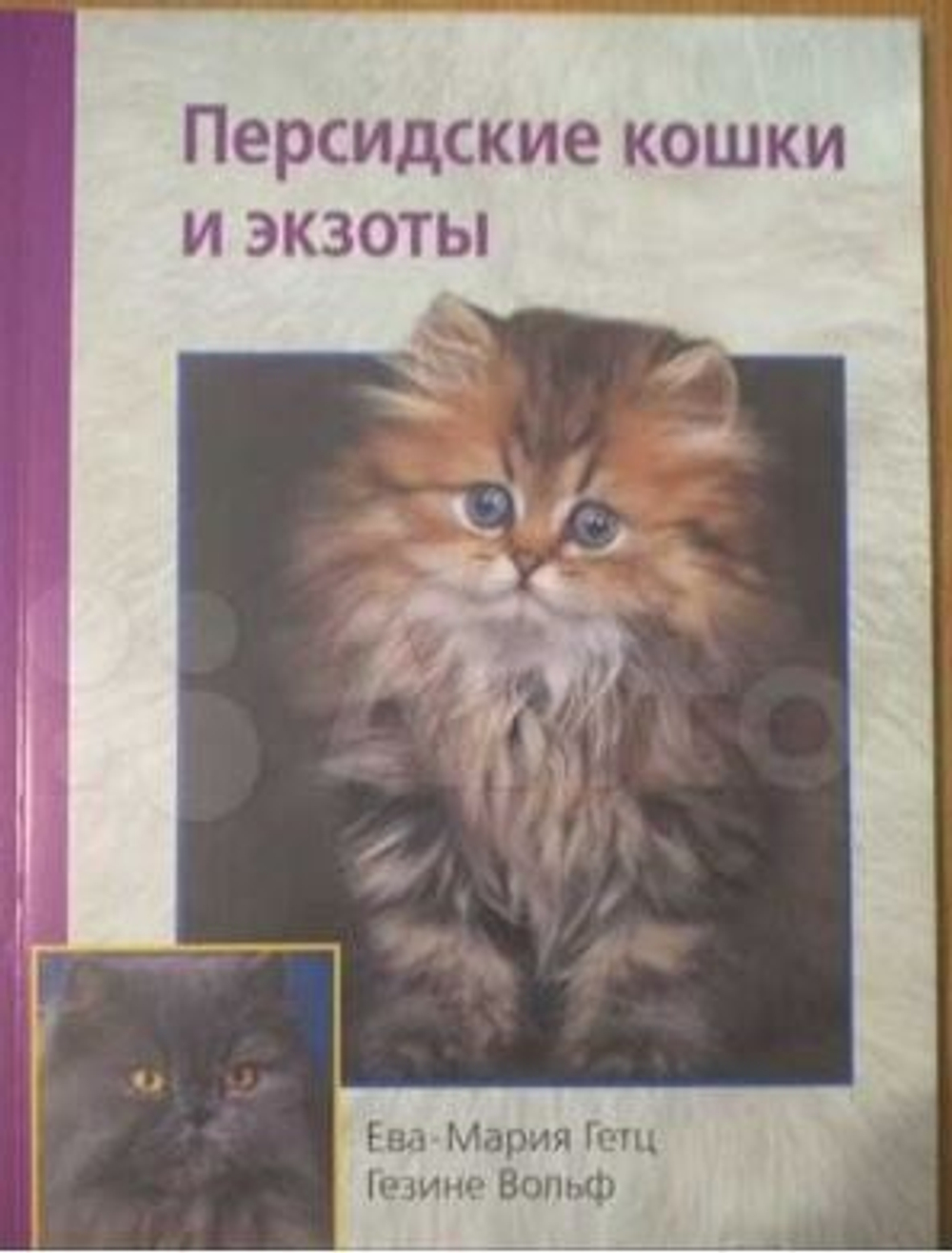 Персидские кошки и экзоты