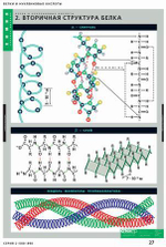 Комплект таблиц «Белки и нуклеиновые кислоты»; 8 таблиц