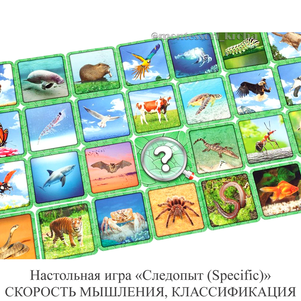 Настольная игра «Следопыт (Specific)» СКОРОСТЬ МЫШЛЕНИЯ, КЛАССИФИКАЦИЯ