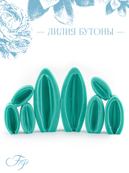 Лилия бутоны