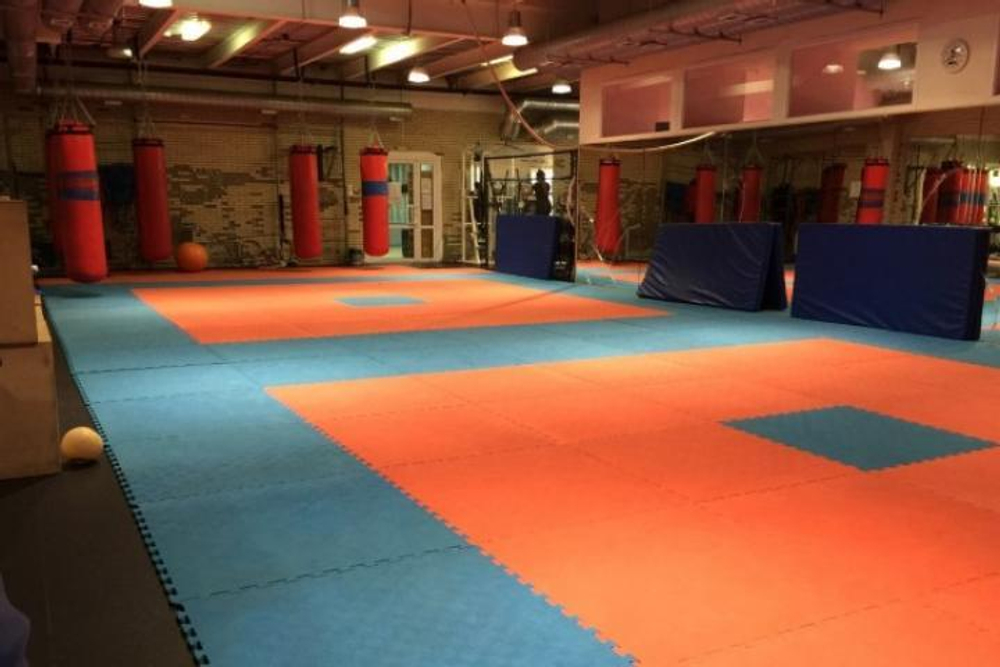 Будо-мат (татами) "Циновка Соты" (1 плита 100x100x1,4 см, 1кв.м./уп)