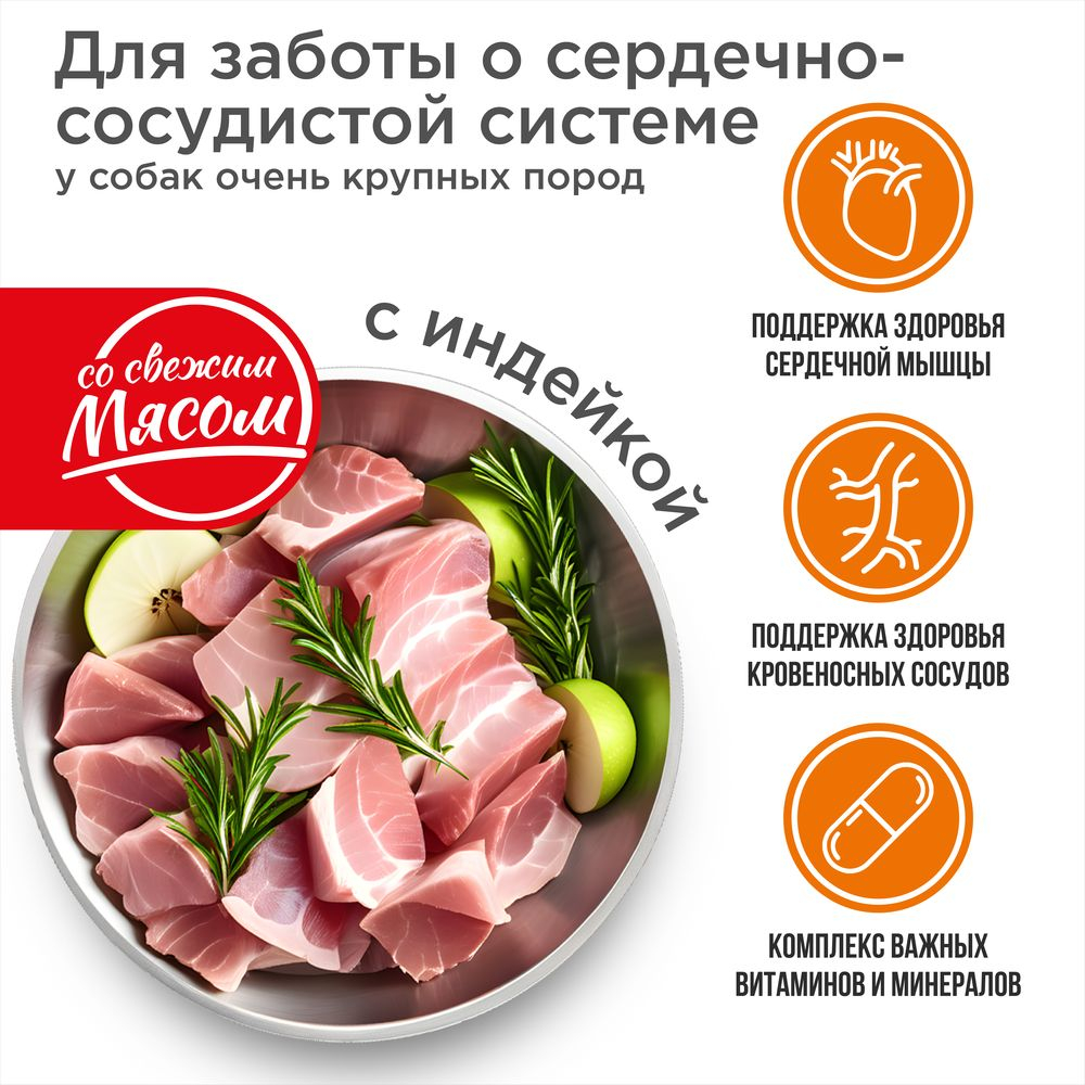 Корм сухой для взрослых собак очень крупных пород, премиум полнорационный комплекс, для заботы сердечно-сосудистой системы, с индейкой, 12 кг, QUATTRO