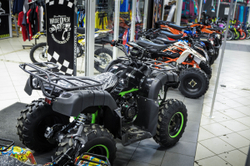 MOTAX ATV Grizlik Lux 200 cc 4TЧерно-зеленый