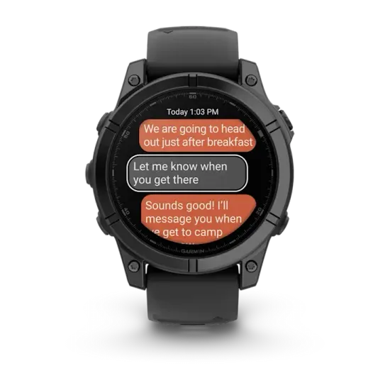 Премиальные мультиспортивные GPS часы Garmin Fenix E, Gray 010-03025-01