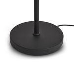 Напольный светильник (торшер) Freya FR5553FL-L20B