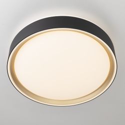 Citilux BOSS CL751251G LED RGB Светильник с пультом Чёрный с Золотом