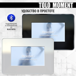 Steamtec TOLO MOMENT 240 - 24 кВт парогенераторы для хамама и турецкой бани / Серия PLATINUM со встроенной музыкой, пультом на 9-ти языках и возможностью монтажа без термодатчиков