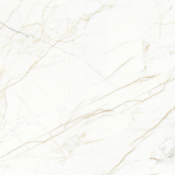 Europa Gold l Керамогранит белый 60x60 Матовый Карвинг