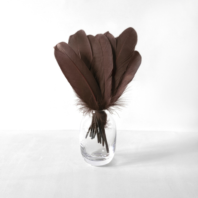 Гусиные перья темно-коричневые ровные 20шт.