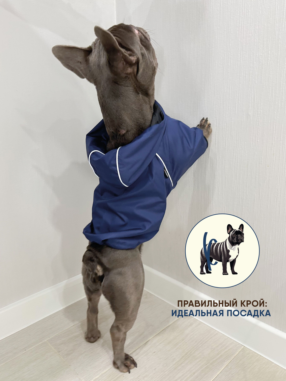 Универсальная куртка дождевик для собак Монморанси, цвет олива, размер L