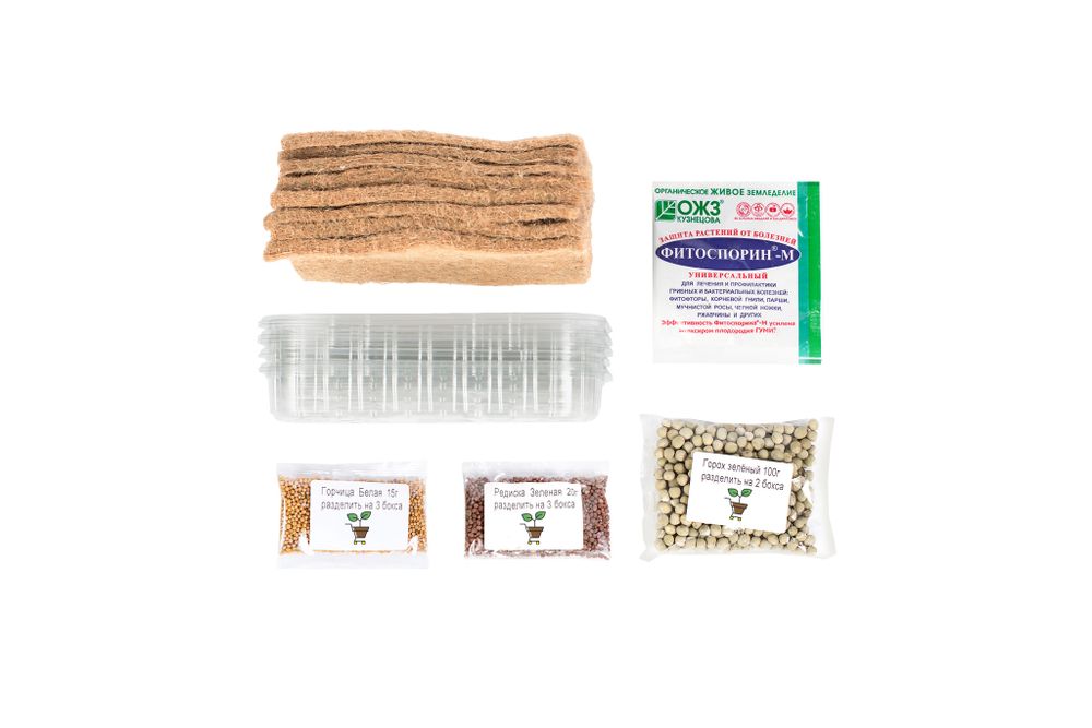 стартовый набор школьная лига