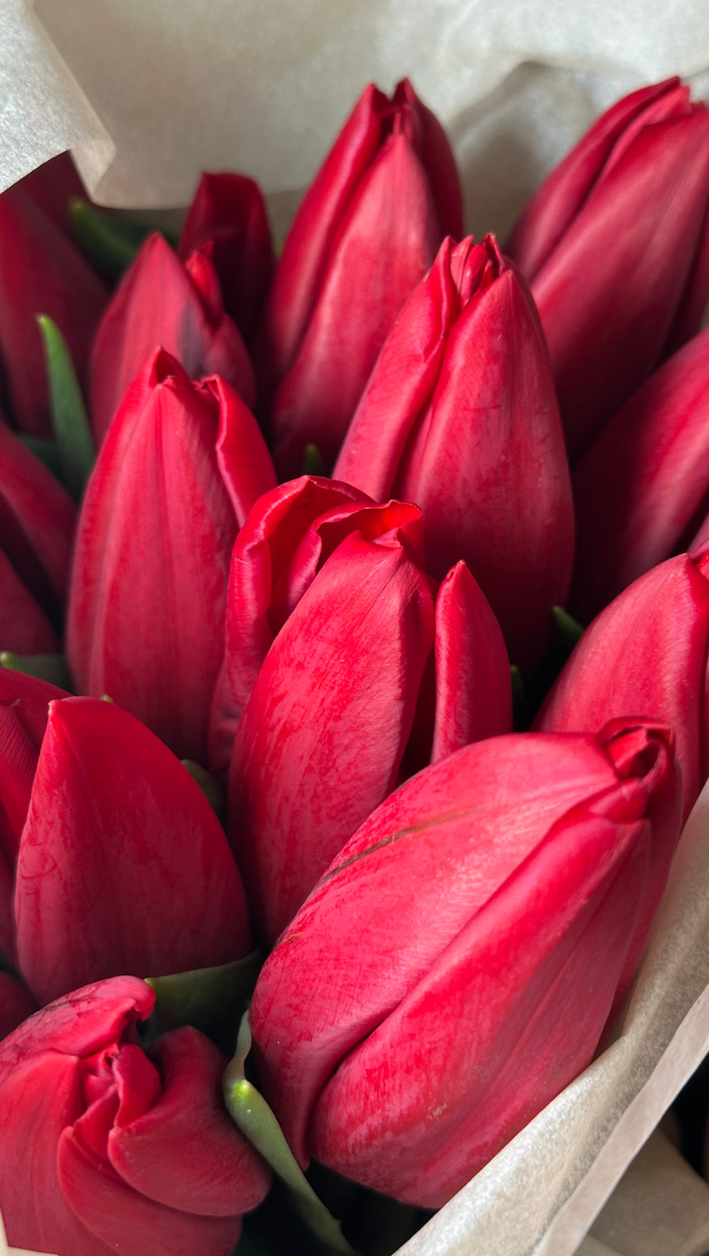 5 красных и 10 розовых