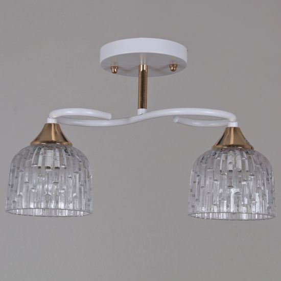 16360-0.3-02 WH+FG светильник потолочный