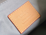 Louis Vuitton Keepall 50