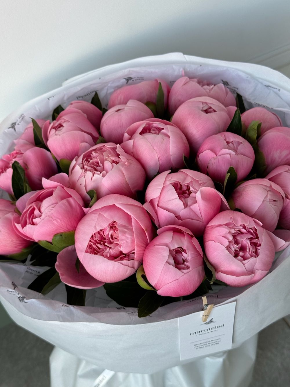 Букет моно из пионов сорта САЛМОН 21 шт