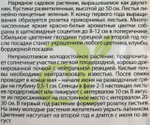 Гвоздика Тур. Княжна 0,2 г СМЦ-912