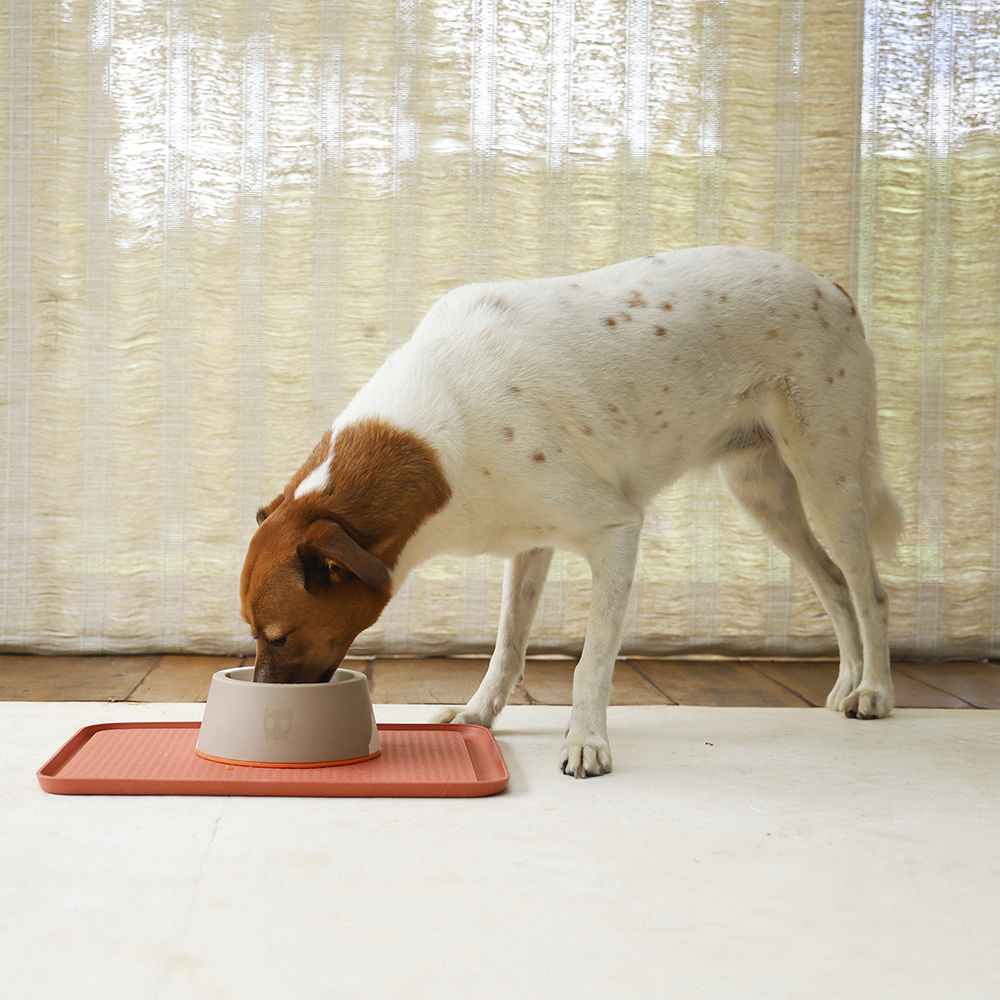 Коврик под миску Zee.Mat CLAY Zee.Dog