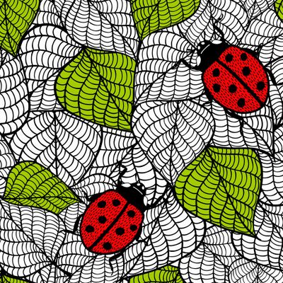 Божья коровка