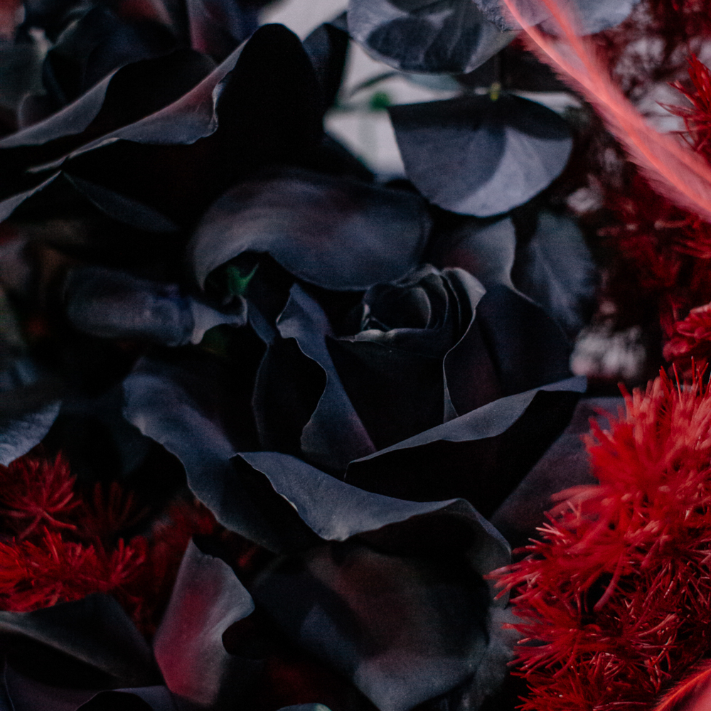 87. Стильный темный букет с черными французскими розами