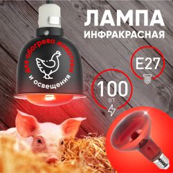 Инфракрасная лампа ЭРА ИКЗК 230-100 R95 для обогрева животных и освещения 100 Вт Е27