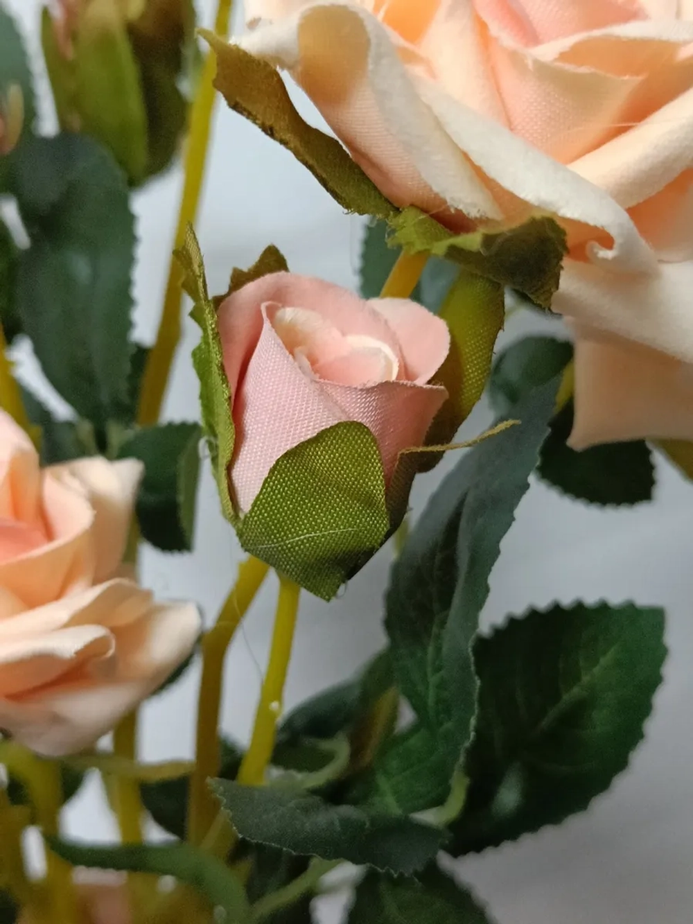 Роза кустовая бархатная, без кашпо.