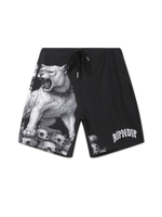 Мужские Шорты Wasteland