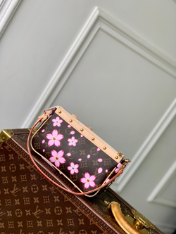 Louis Vuitton Pochette Accessoires