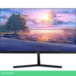 Монитор Sanc M2453J(N2453)